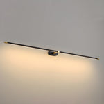 Adjustable LED Picture and Mirror Wall Light