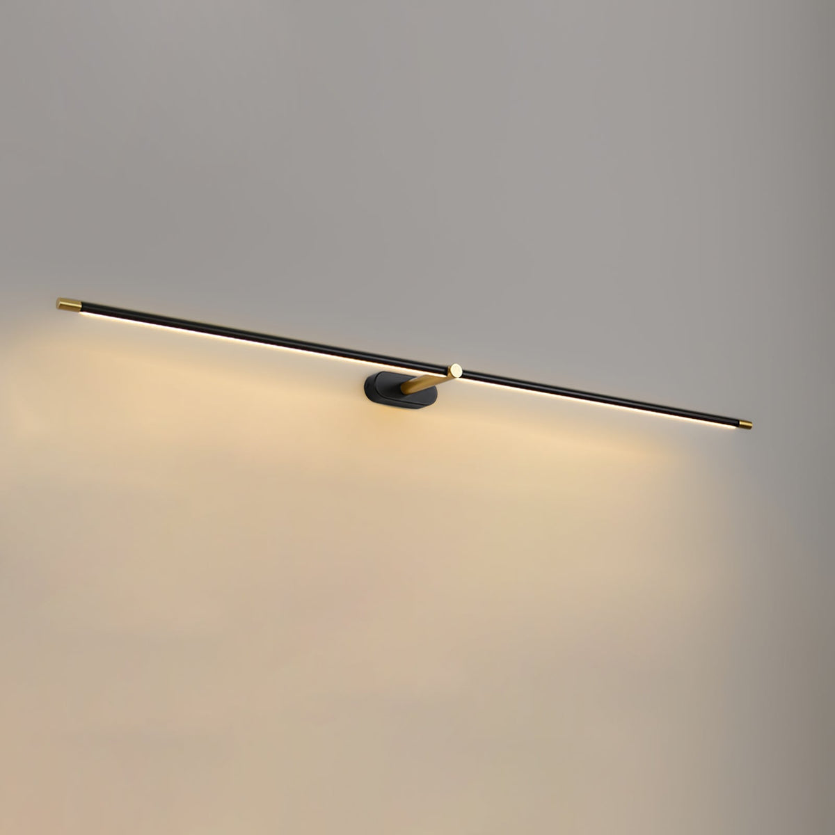 Adjustable LED Picture and Mirror Wall Light