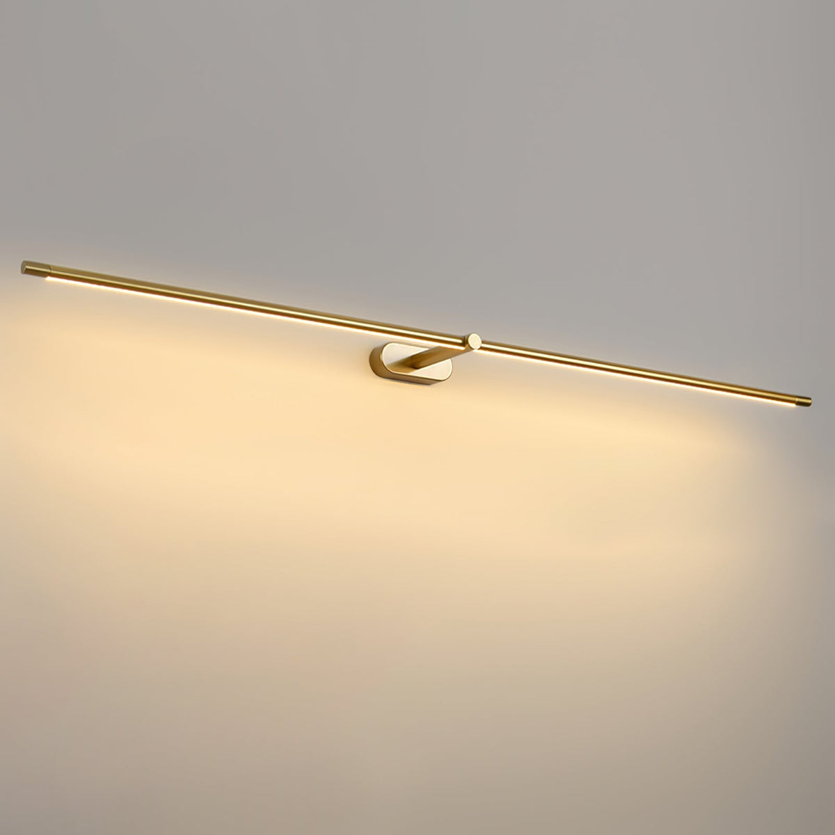 Adjustable LED Picture and Mirror Wall Light