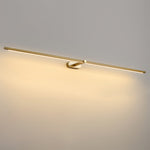 Adjustable LED Picture and Mirror Wall Light