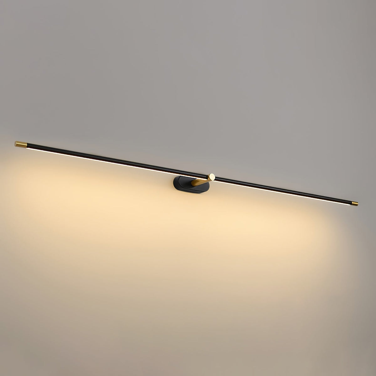 Adjustable LED Picture and Mirror Wall Light