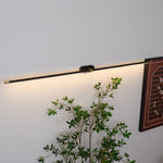 Adjustable LED Picture and Mirror Wall Light