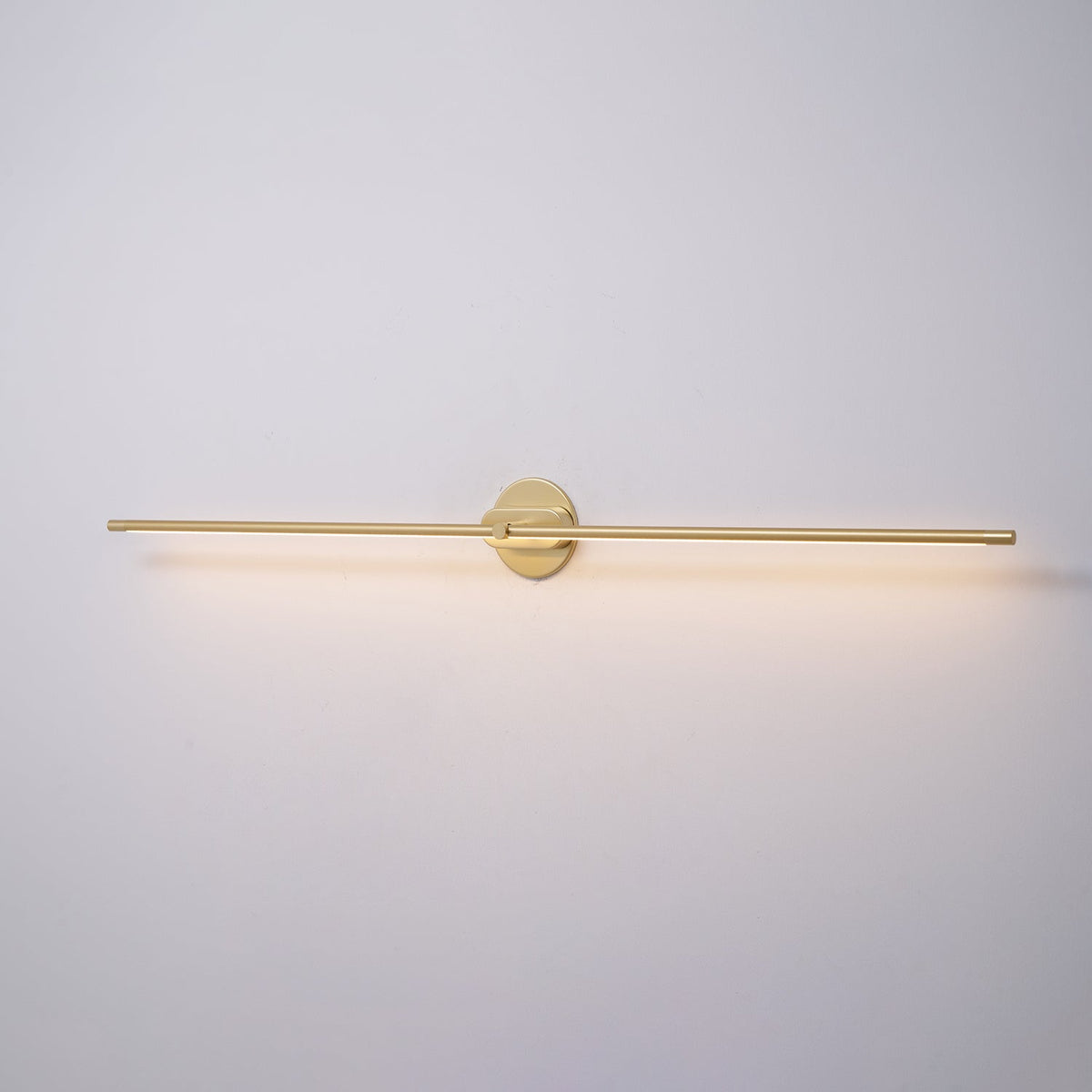 Adjustable LED Picture and Mirror Wall Light