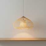 Woven Rattan Dome Pendant Light