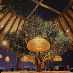 Woven Rattan Dome Pendant Light