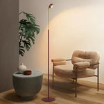 Adjustable LED Floor Lamp