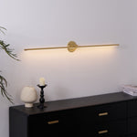 Adjustable LED Picture and Mirror Wall Light