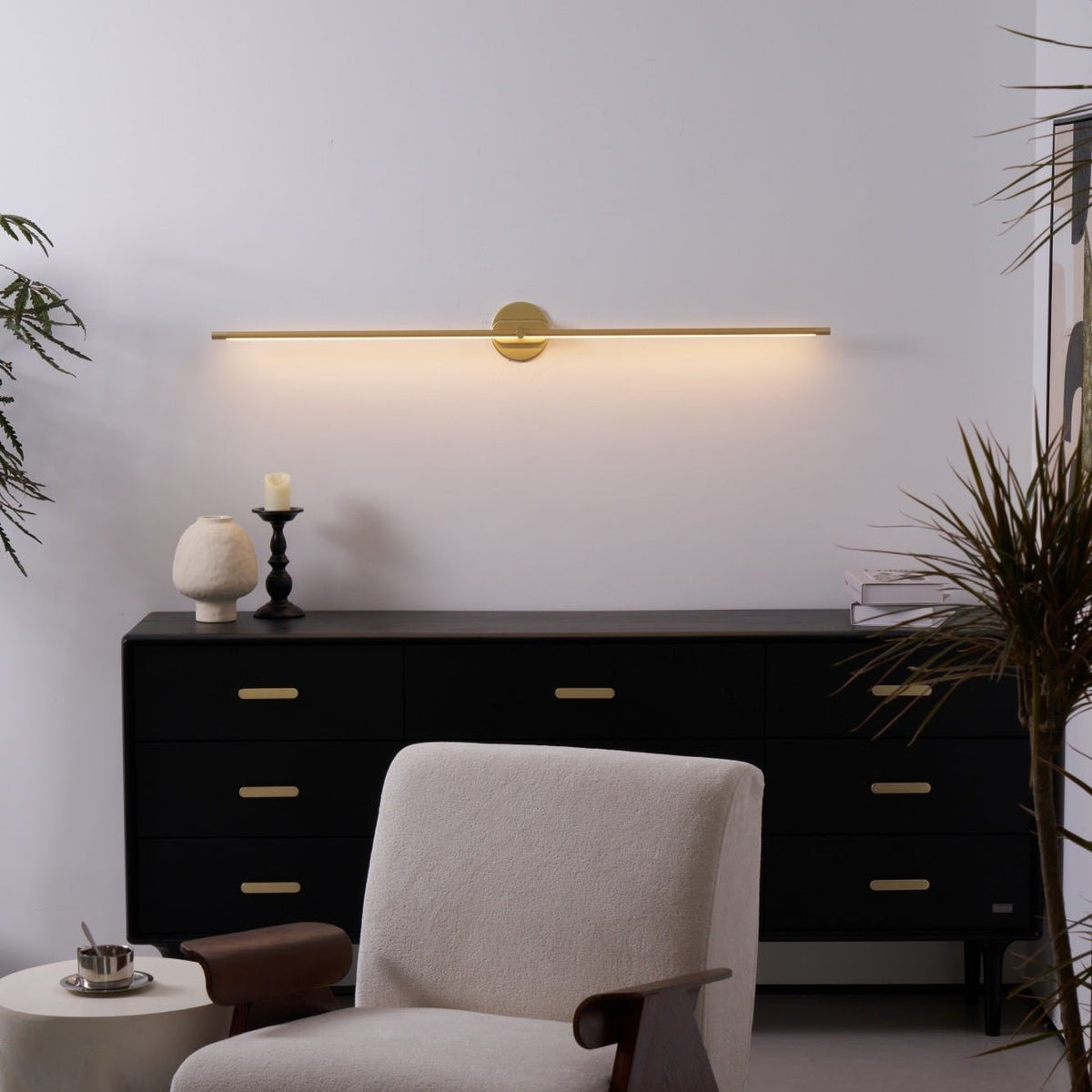 Adjustable LED Picture and Mirror Wall Light