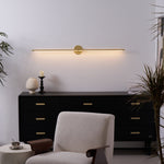 Adjustable LED Picture and Mirror Wall Light