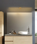 Adjustable LED Picture and Mirror Wall Light
