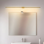 Adjustable LED Picture and Mirror Wall Light