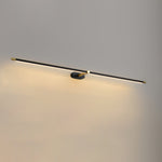 Adjustable LED Picture and Mirror Wall Light