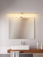 Adjustable LED Picture and Mirror Wall Light