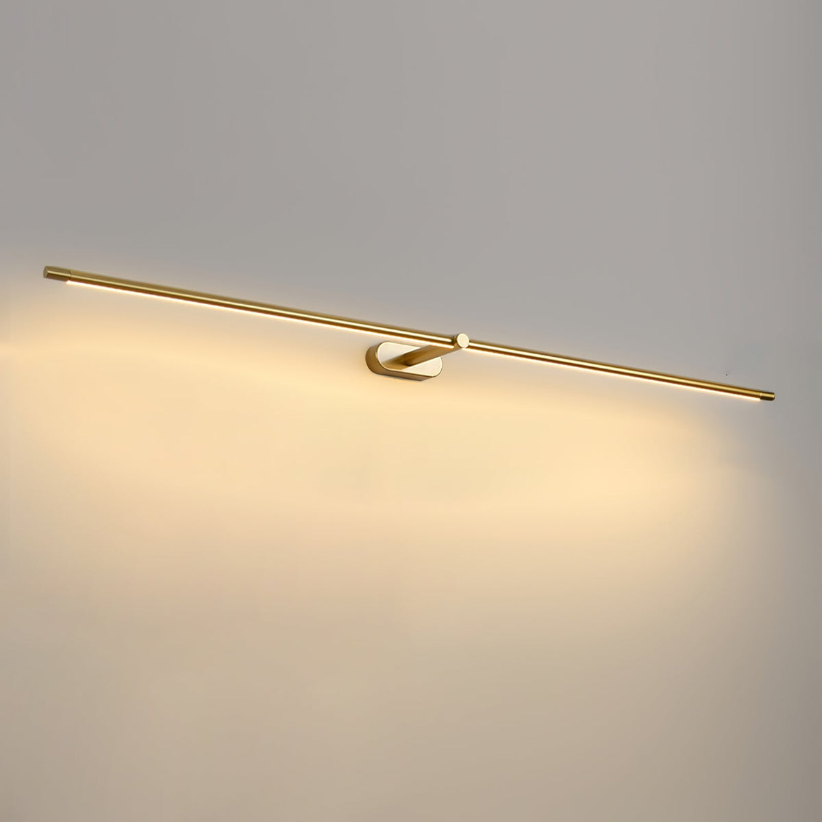 Adjustable LED Picture and Mirror Wall Light