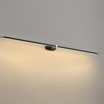 Adjustable LED Picture and Mirror Wall Light