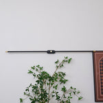 Adjustable LED Picture and Mirror Wall Light