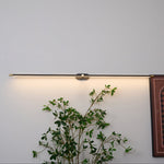 Adjustable LED Picture and Mirror Wall Light