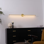 Adjustable LED Picture and Mirror Wall Light