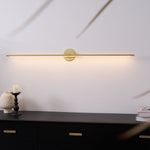 Adjustable LED Picture and Mirror Wall Light