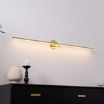 Adjustable LED Picture and Mirror Wall Light