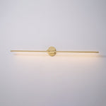 Adjustable LED Picture and Mirror Wall Light