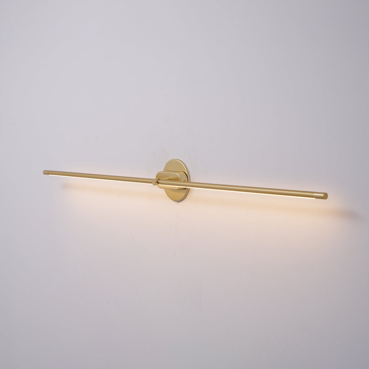 Adjustable LED Picture and Mirror Wall Light