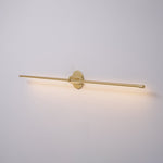 Adjustable LED Picture and Mirror Wall Light
