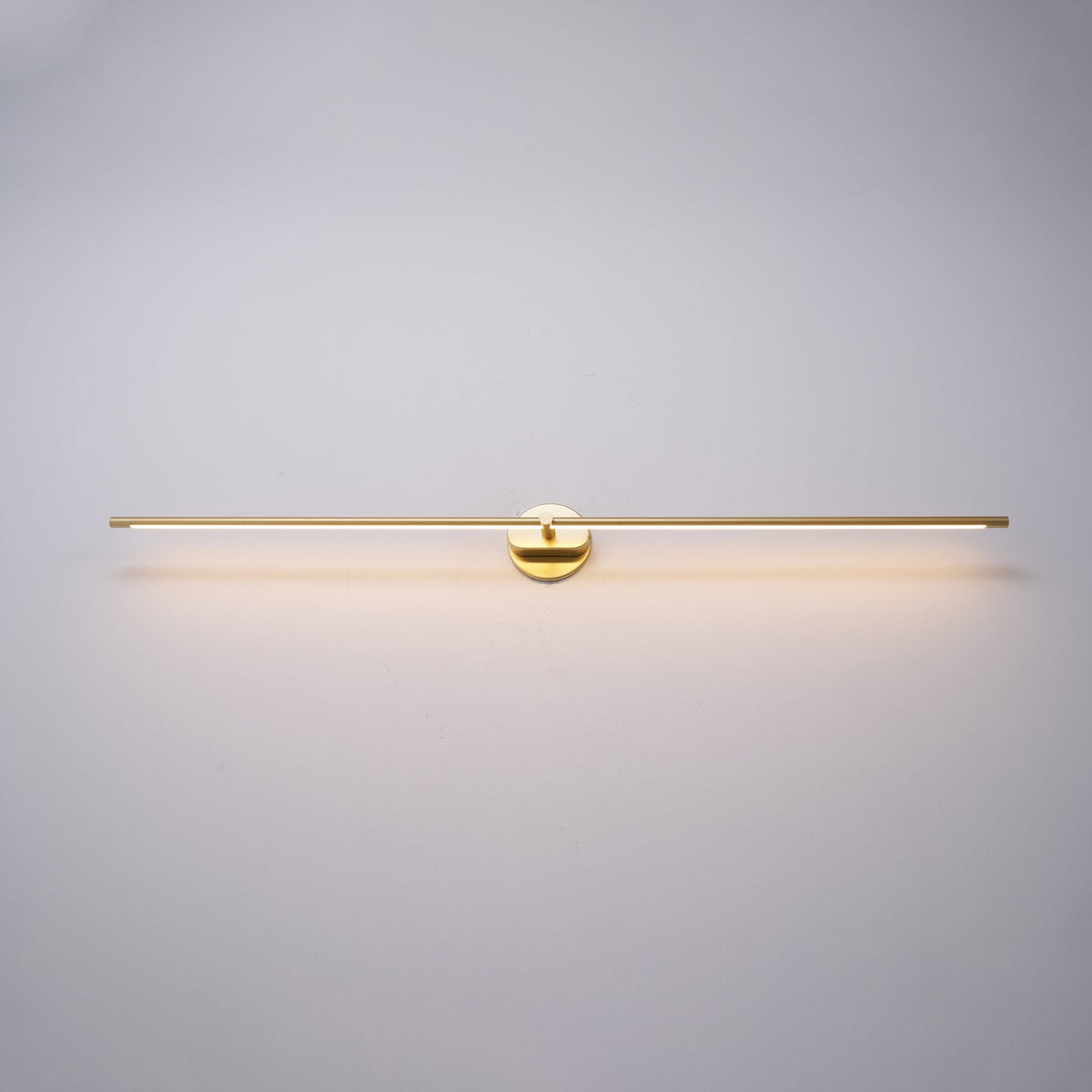 Adjustable LED Picture and Mirror Wall Light