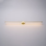 Adjustable LED Picture and Mirror Wall Light
