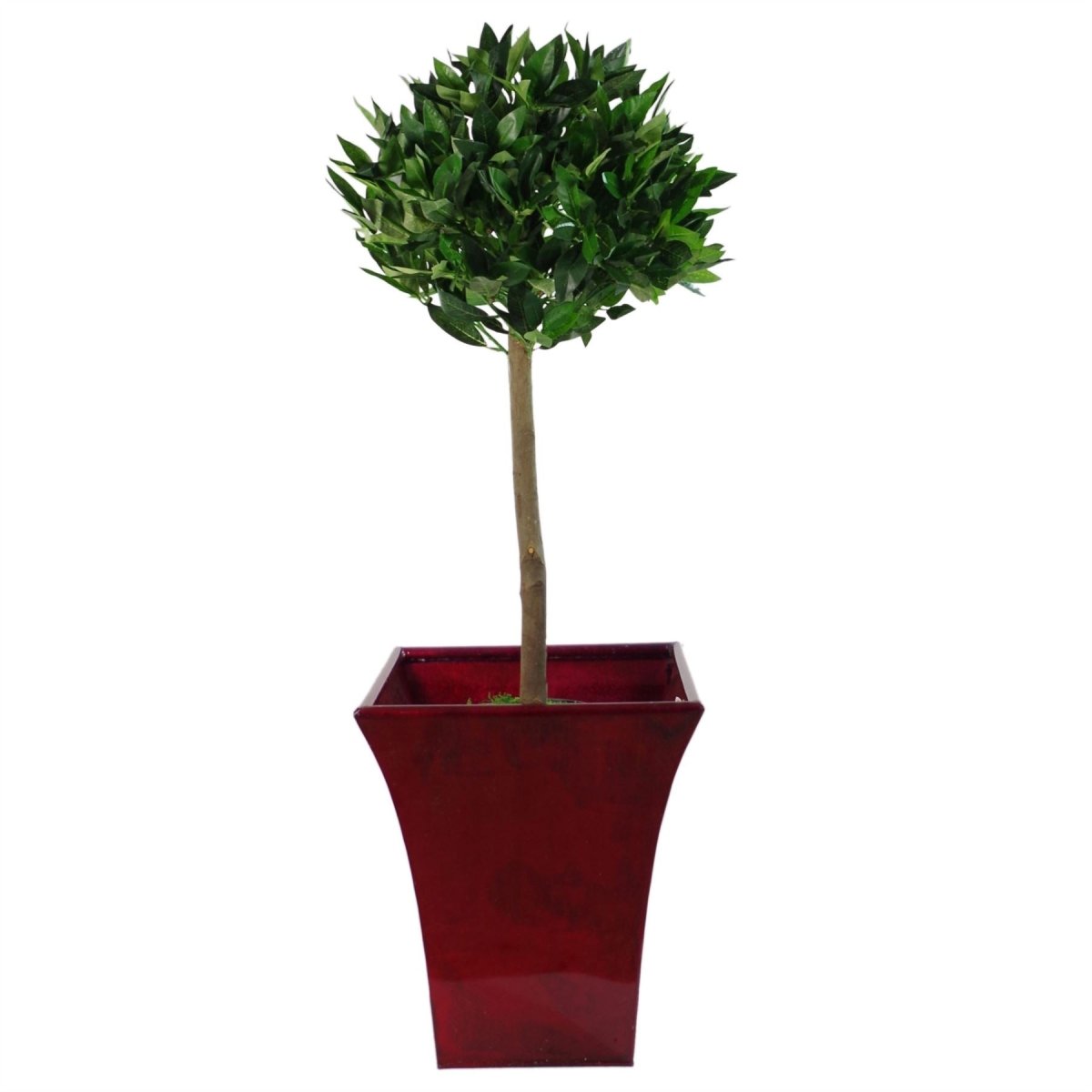 Artificial Bay Topiary Trees 90cm – Pair of Indoor Outdoor Fake Bay Trees with Pots