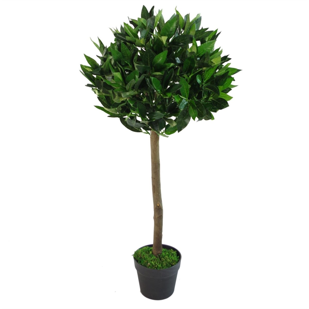 Artificial Bay Topiary Trees 90cm – Pair of Indoor Outdoor Fake Bay Trees with Pots