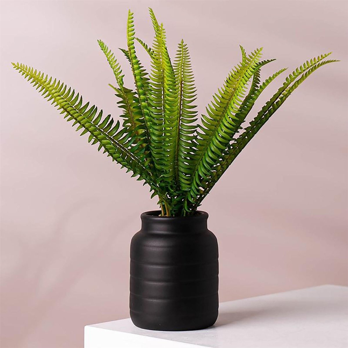 Black Ceramic Plant Pot Planter – 14cm, Indoor Use