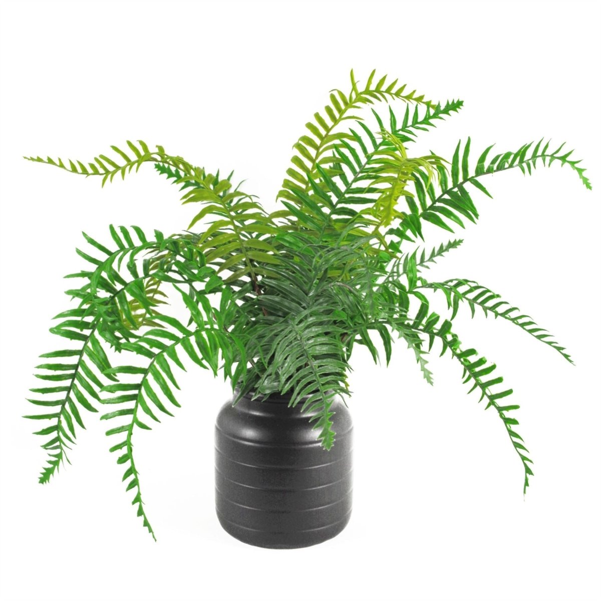 Black Ceramic Plant Pot Planter – 14cm, Indoor Use