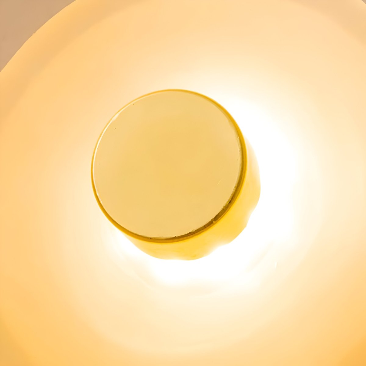 Curved Glass LED Wall Sconce - Japandi Style, 1-Light Fixture
