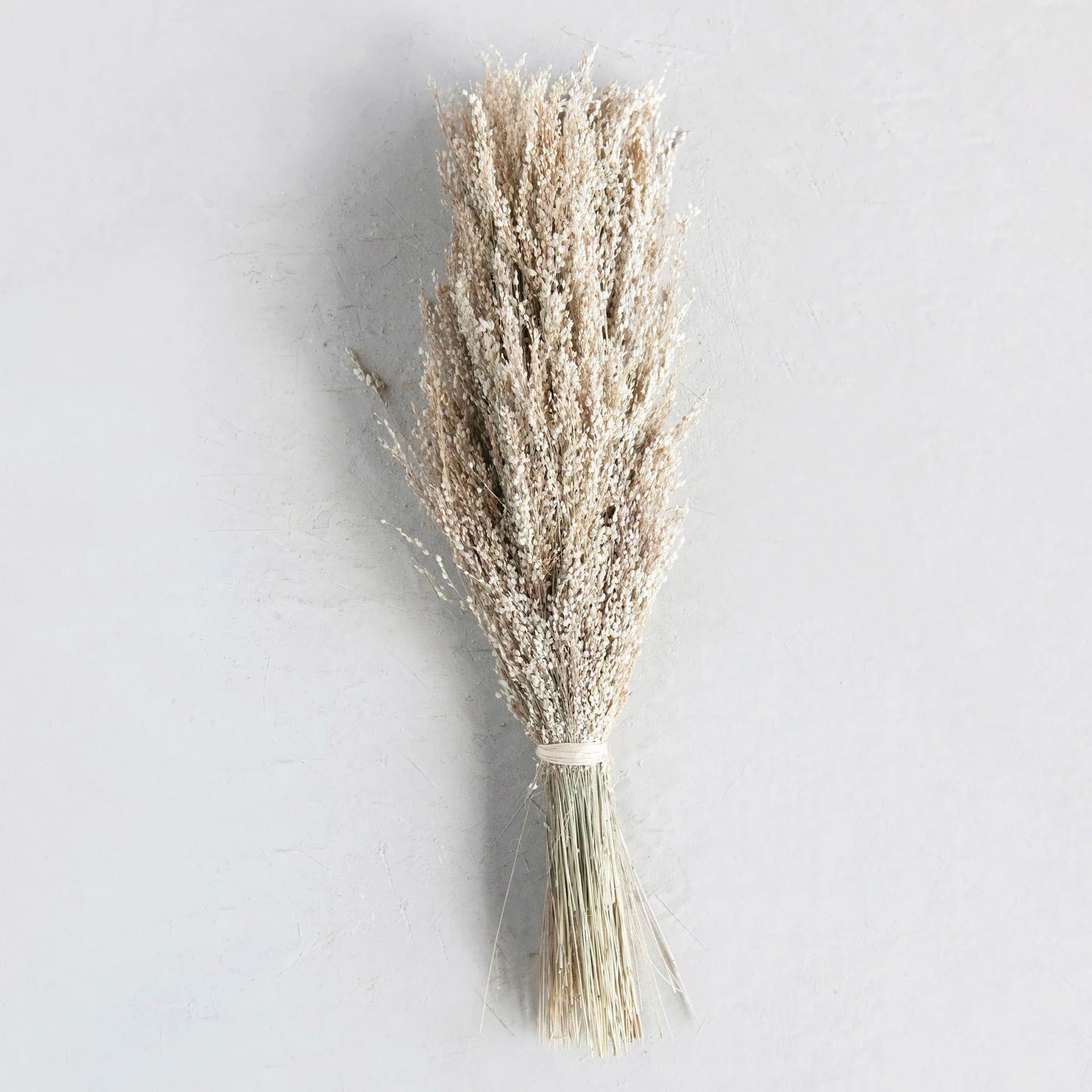 Natural Dried Grass Bundle, 19.75 inches