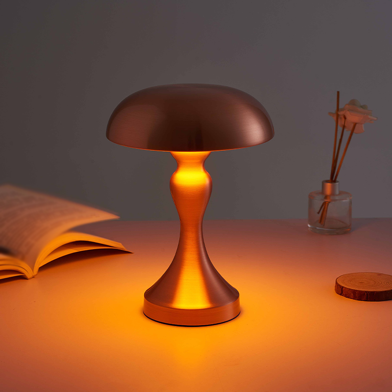Rechargeable LED Table Lamp with Touch Dimming