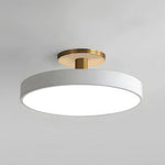 Round Flush-Mount Ceiling Light with Metal Frame, 12-Inch Diameter