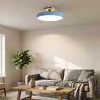Round Flush-Mount Ceiling Light with Metal Frame, 12-Inch Diameter