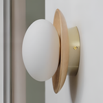 Wood and Glass Globe Wall Light with G9 Fitting