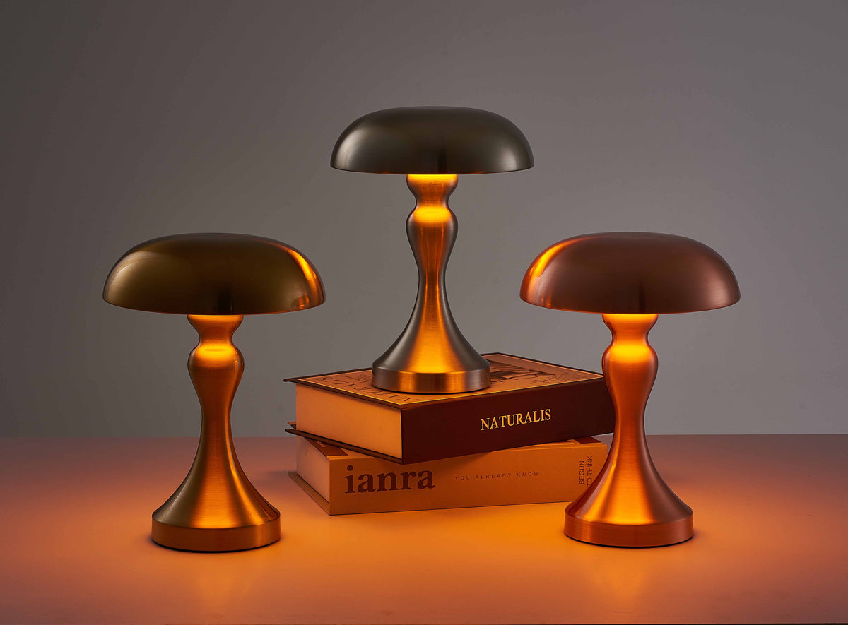 Rechargeable LED Table Lamp with Touch Dimming