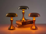 Rechargeable LED Table Lamp with Touch Dimming