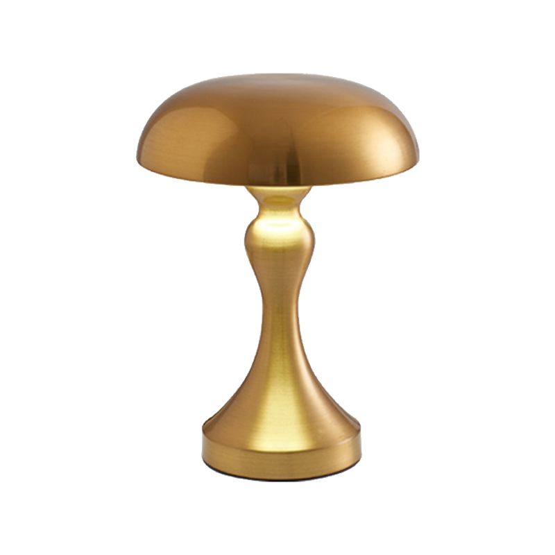 Rechargeable LED Table Lamp with Touch Dimming